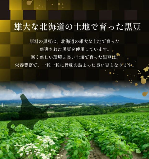 日本【熊本縣】健成園八重撫子黒豆茶 3gx100小包/袋